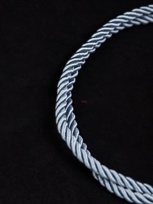 Set 2 magneti bleu